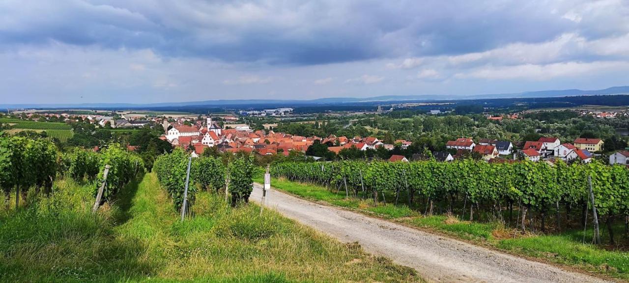 Ferienwohnung Fackelmann Dettelbach Exteriör bild